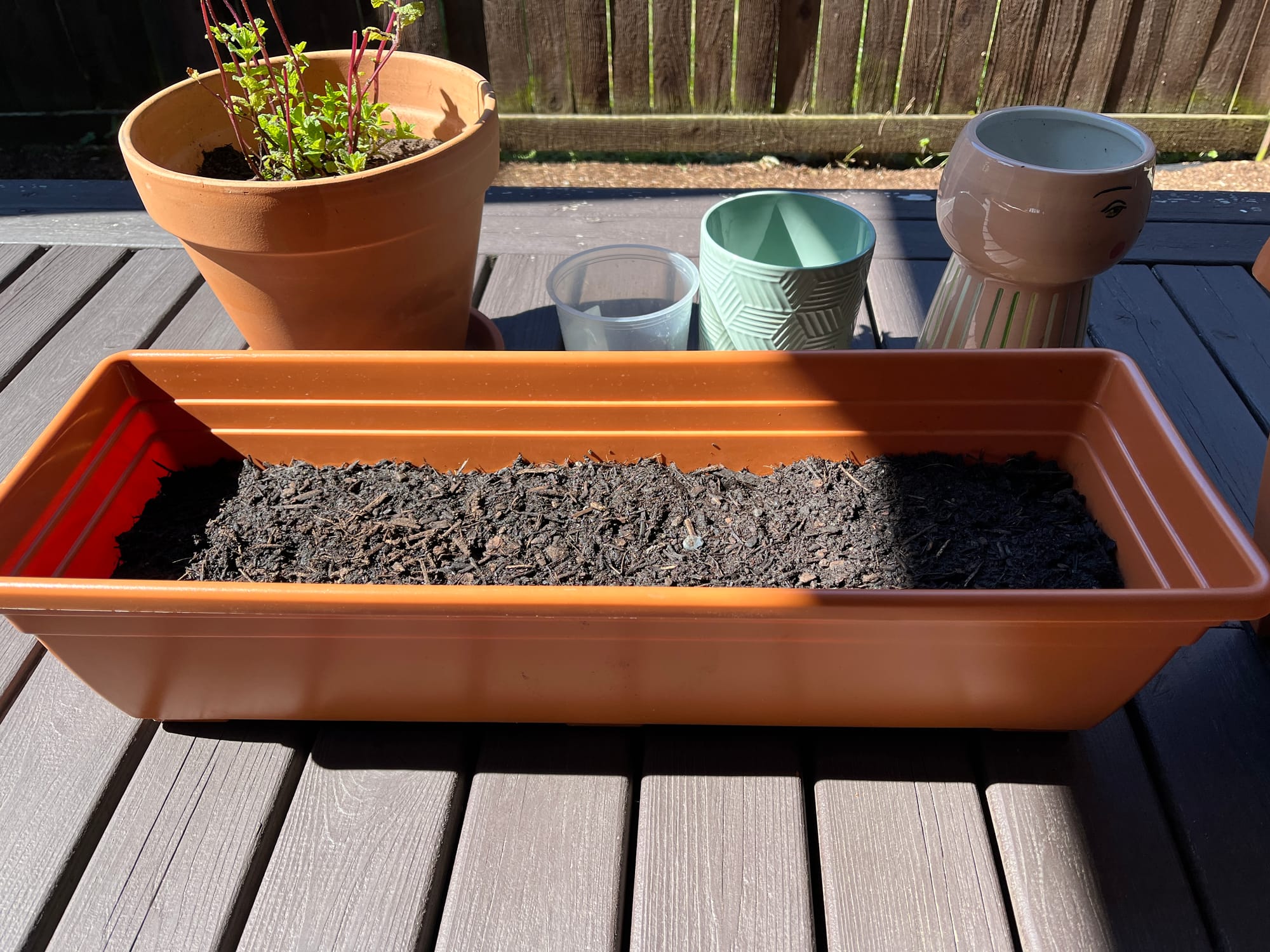 24-06-21 10-04-20 8785.jpg