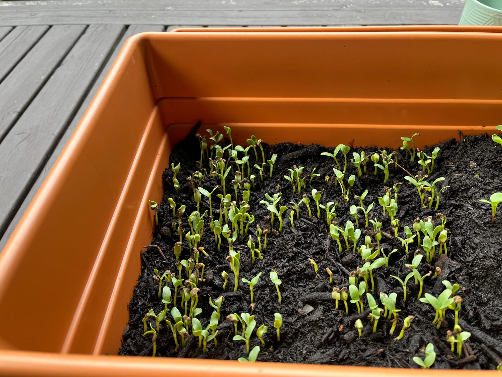 24-06-26 09-48-53 8802.jpg